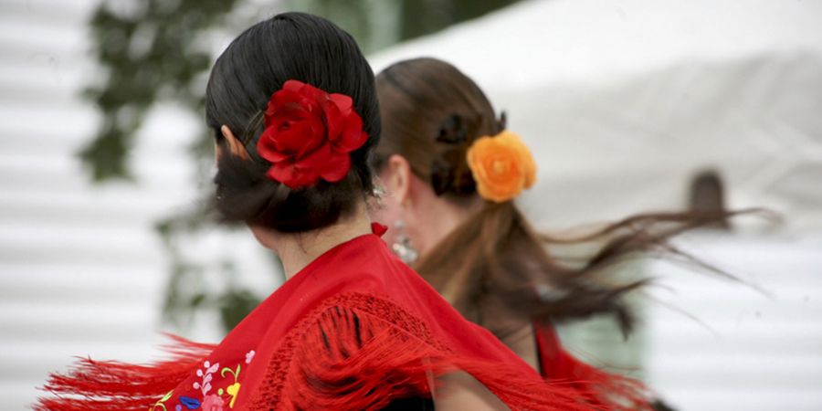 ¿Cuál es el origen del flamenco?